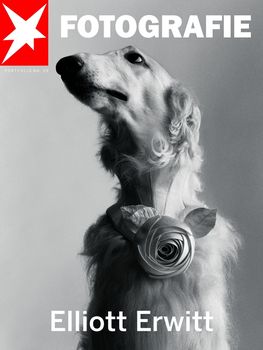 обложка книги Spezial Fotografie: No.39 Elliott Erwitt (Stern Portfolio) книга Spezial Fotografie: No.39 Elliott Erwitt (Stern Portfolio), автор: Elliott Erwitt